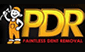 Paintless Dent Removal